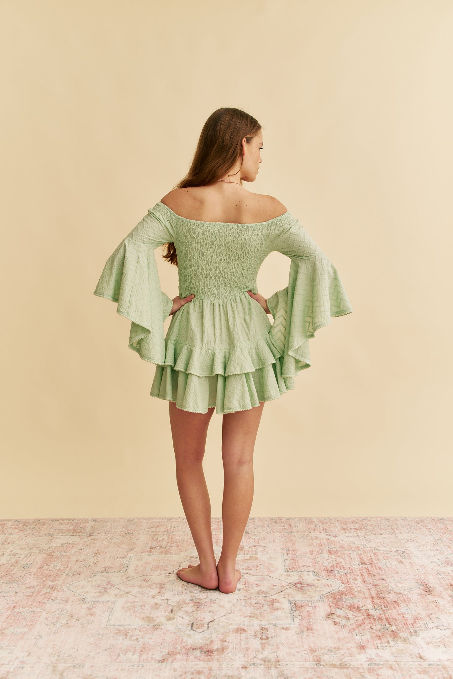 MINT RIVIERA EMBROIDERED PRIMROSE MINI DRESS