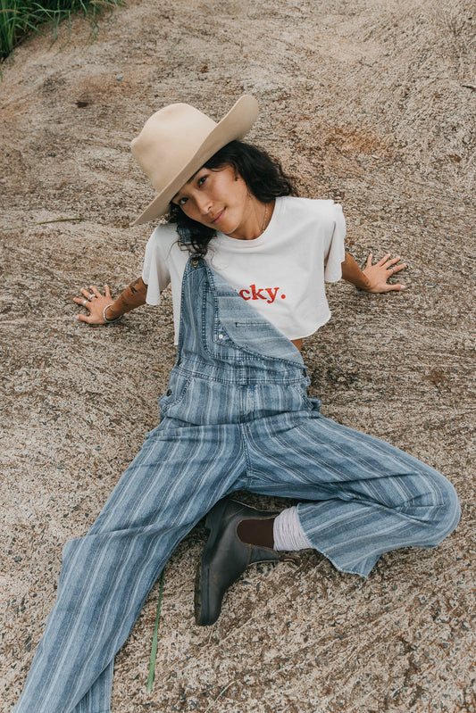JAGGER - WASHED DENIM OVERALLS